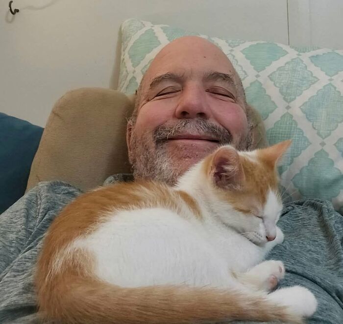 35 Pet Owners Share Their Orange Cats That Could Almost Pass As Their Real Family Members 35 Pet Owners Share Their Orange Cats That Could Almost Pass As Their Real Family Members