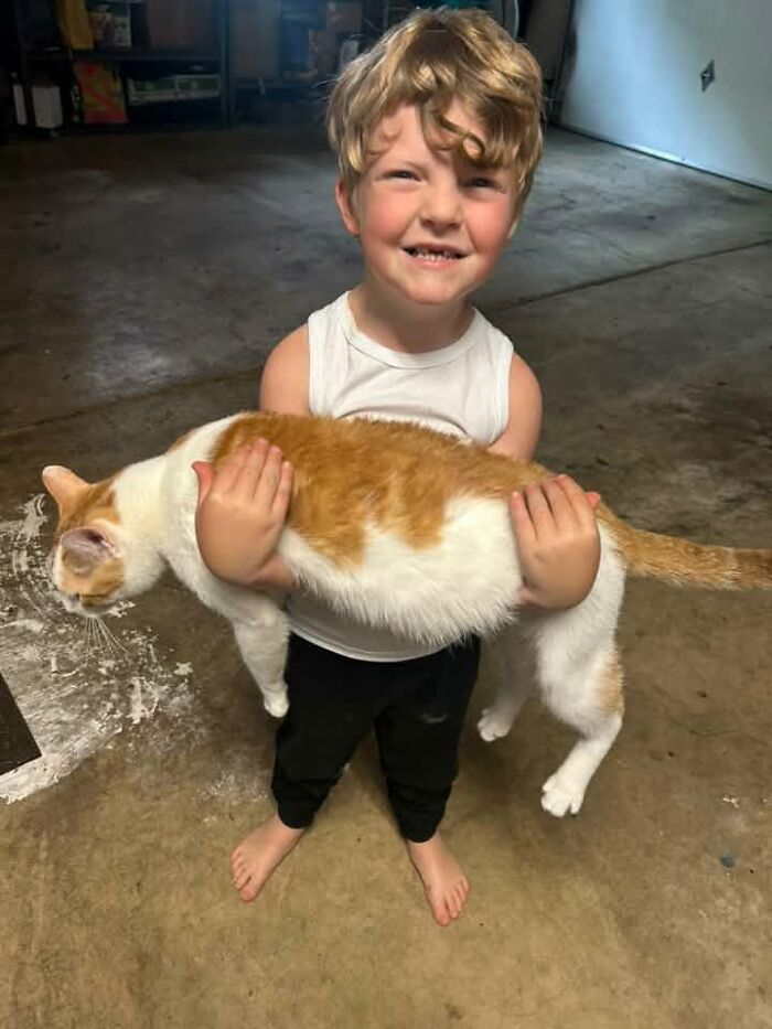 35 Pet Owners Share Their Orange Cats That Could Almost Pass As Their Real Family Members 35 Pet Owners Share Their Orange Cats That Could Almost Pass As Their Real Family Members