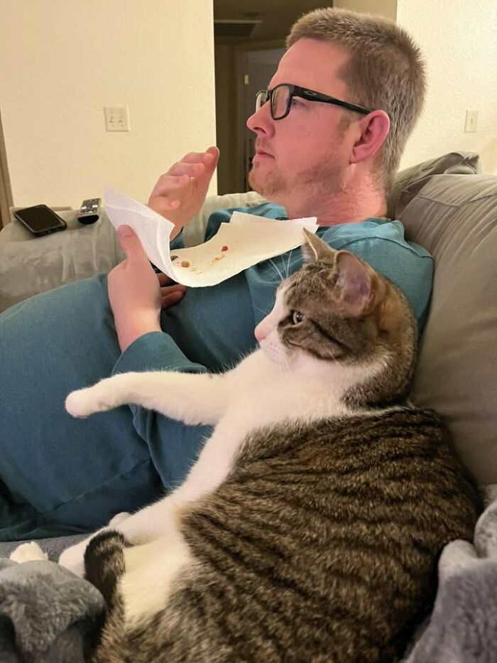 35 Pet Owners Share Their Orange Cats That Could Almost Pass As Their Real Family Members 35 Pet Owners Share Their Orange Cats That Could Almost Pass As Their Real Family Members