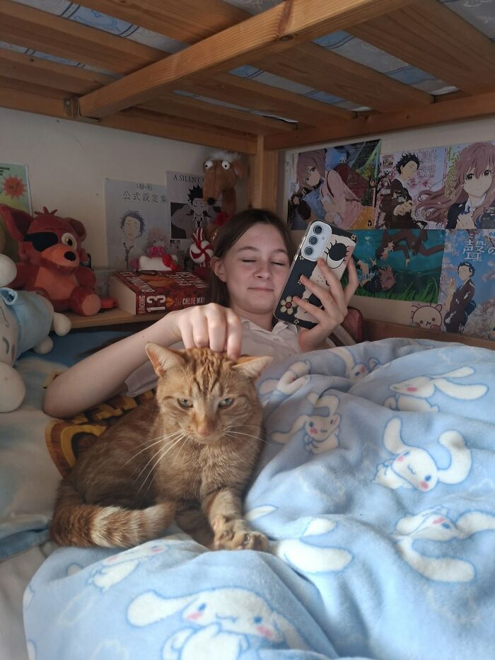 35 Pet Owners Share Their Orange Cats That Could Almost Pass As Their Real Family Members 35 Pet Owners Share Their Orange Cats That Could Almost Pass As Their Real Family Members