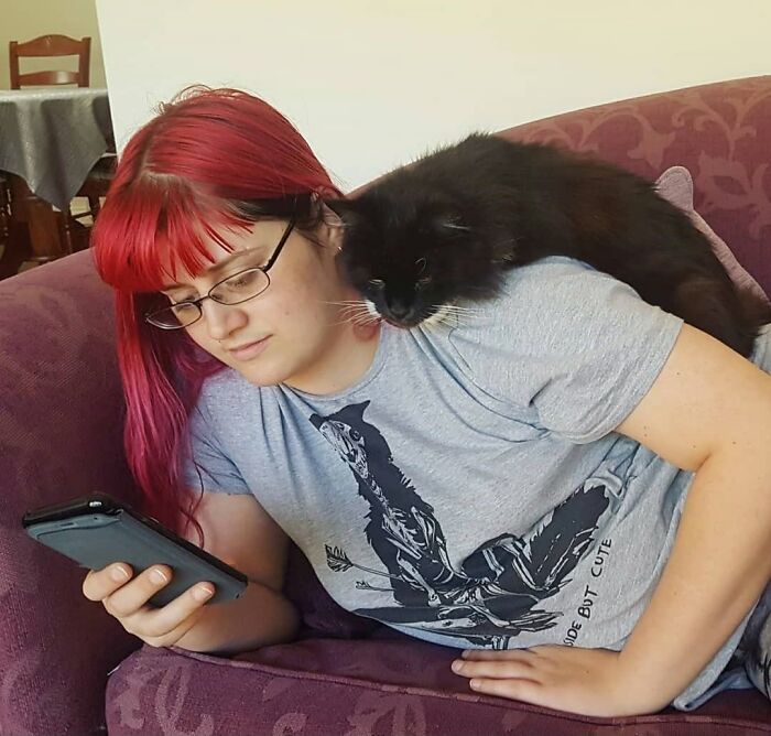 35 Pet Owners Share Their Orange Cats That Could Almost Pass As Their Real Family Members 35 Pet Owners Share Their Orange Cats That Could Almost Pass As Their Real Family Members