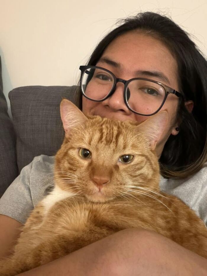 35 Pet Owners Share Their Orange Cats That Could Almost Pass As Their Real Family Members 35 Pet Owners Share Their Orange Cats That Could Almost Pass As Their Real Family Members