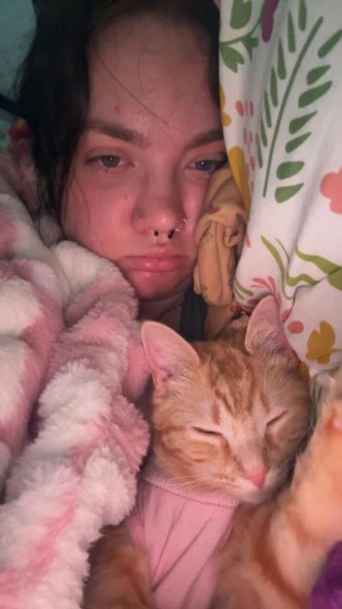 35 Pet Owners Share Their Orange Cats That Could Almost Pass As Their Real Family Members 35 Pet Owners Share Their Orange Cats That Could Almost Pass As Their Real Family Members