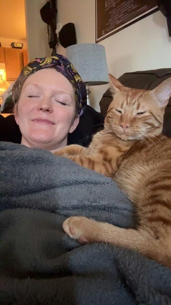 35 Pet Owners Share Their Orange Cats That Could Almost Pass As Their Real Family Members 35 Pet Owners Share Their Orange Cats That Could Almost Pass As Their Real Family Members