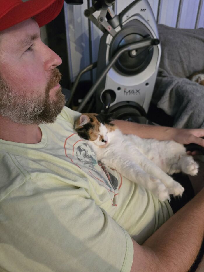 35 Pet Owners Share Their Orange Cats That Could Almost Pass As Their Real Family Members 35 Pet Owners Share Their Orange Cats That Could Almost Pass As Their Real Family Members