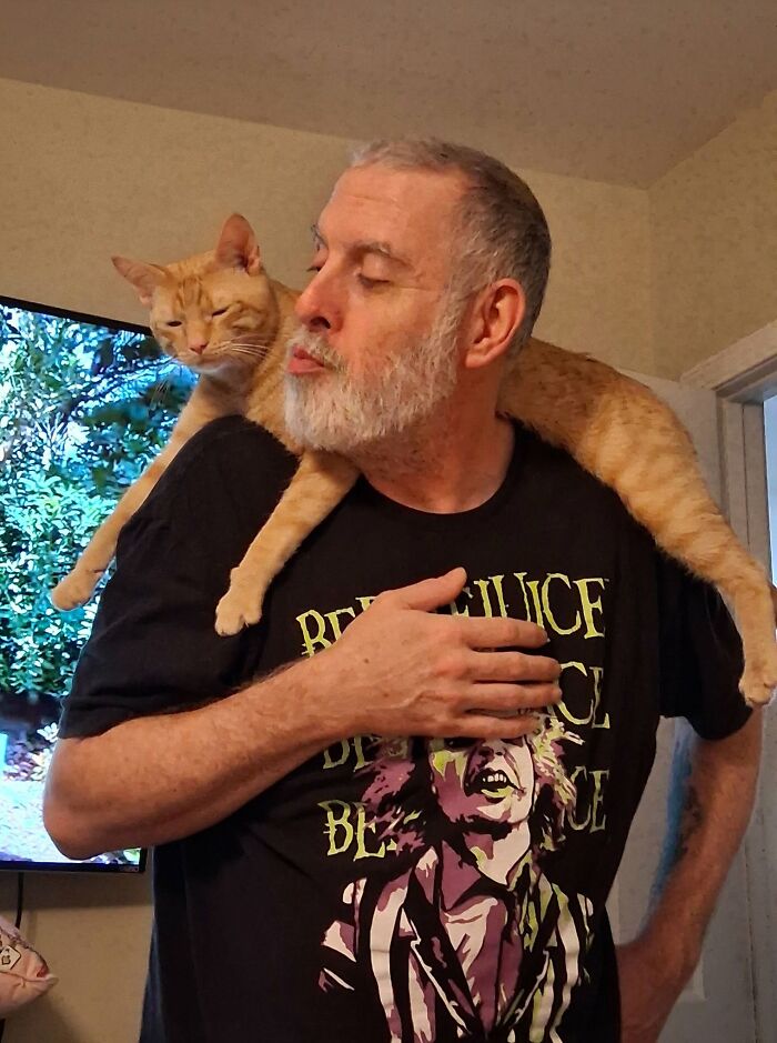 35 Pet Owners Share Their Orange Cats That Could Almost Pass As Their Real Family Members 35 Pet Owners Share Their Orange Cats That Could Almost Pass As Their Real Family Members