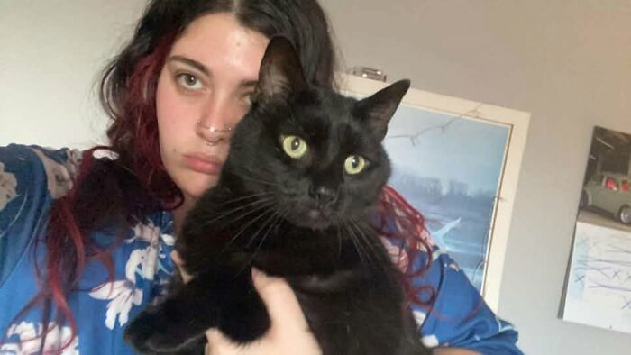35 Pet Owners Share Their Orange Cats That Could Almost Pass As Their Real Family Members 35 Pet Owners Share Their Orange Cats That Could Almost Pass As Their Real Family Members