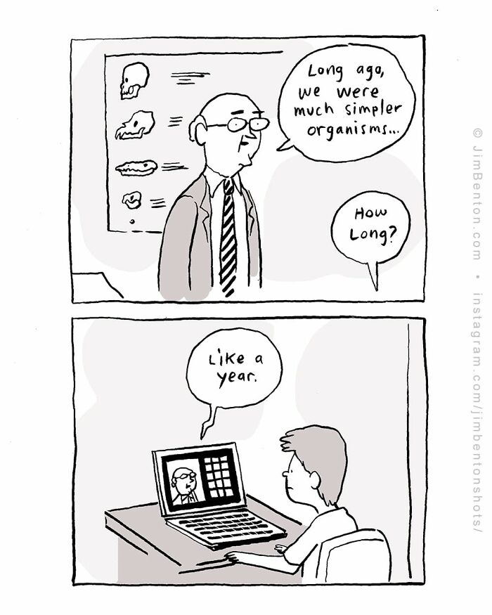 Former New Yorker Contributor Created 34 New Cartoons That Perfectly Capture Everyday Absurdity Former New Yorker Contributor Created 34 New Cartoons That Perfectly Capture Everyday Absurdity