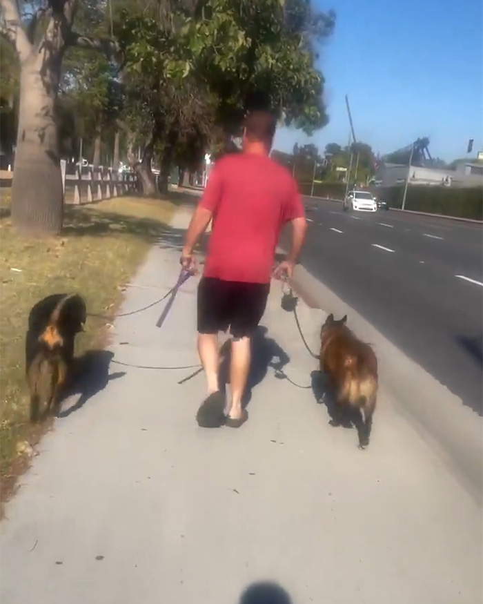 Cyclist Karen Tries To Shame Man Just For Walking His Dogs On The Sidewalk, But It Epically Backfires Cyclist Karen Tries To Shame Man Just For Walking His Dogs On The Sidewalk, But It Epically Backfires
