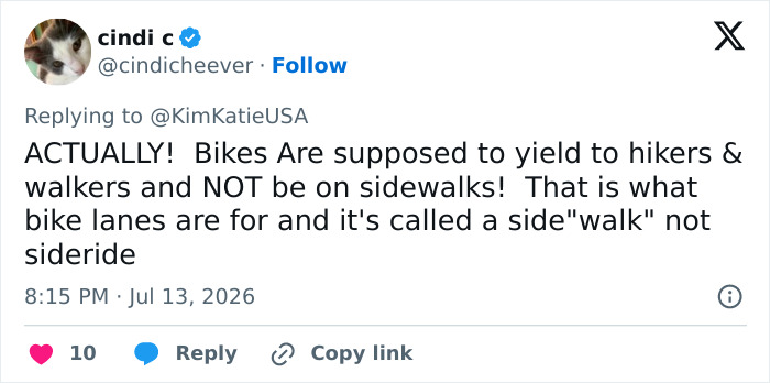 Cyclist Karen Tries To Shame Man Just For Walking His Dogs On The Sidewalk, But It Epically Backfires Cyclist Karen Tries To Shame Man Just For Walking His Dogs On The Sidewalk, But It Epically Backfires