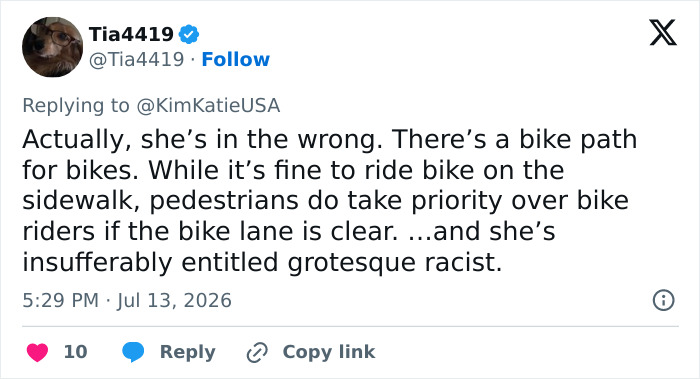 Cyclist Karen Tries To Shame Man Just For Walking His Dogs On The Sidewalk, But It Epically Backfires Cyclist Karen Tries To Shame Man Just For Walking His Dogs On The Sidewalk, But It Epically Backfires