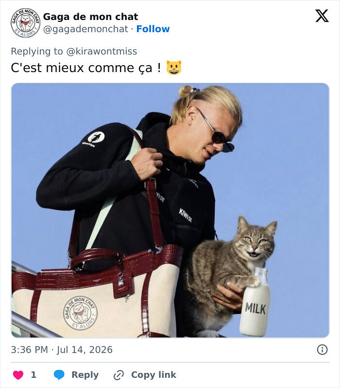 After Erling Haaland Went Viral Arriving In Norway With A Racoon In His Arms, These Memes Stole The Show After Erling Haaland Went Viral Arriving In Norway With A Racoon In His Arms, These Memes Stole The Show