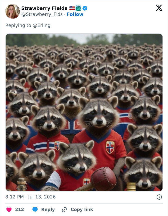After Erling Haaland Went Viral Arriving In Norway With A Racoon In His Arms, These Memes Stole The Show After Erling Haaland Went Viral Arriving In Norway With A Racoon In His Arms, These Memes Stole The Show