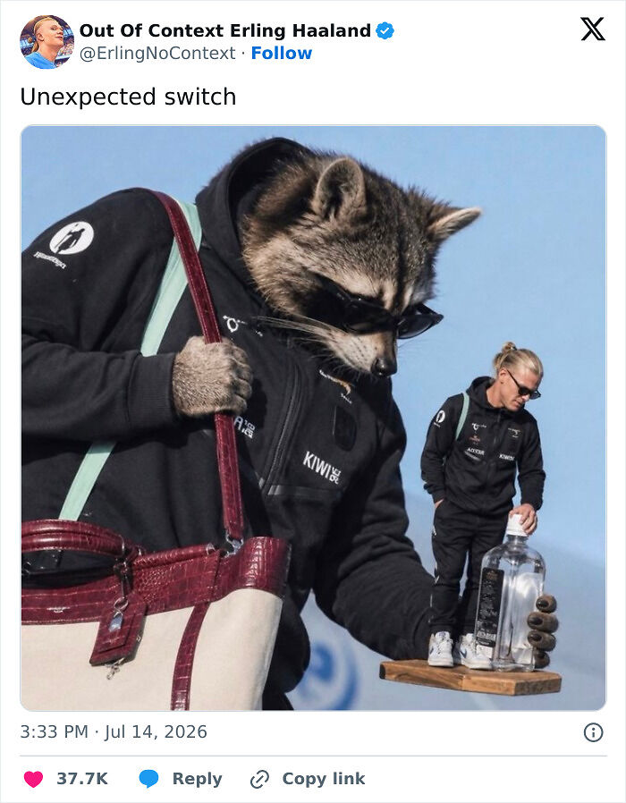 After Erling Haaland Went Viral Arriving In Norway With A Racoon In His Arms, These Memes Stole The Show After Erling Haaland Went Viral Arriving In Norway With A Racoon In His Arms, These Memes Stole The Show