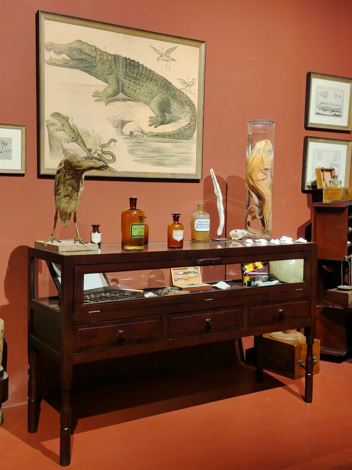 48 Museum Employees Share The Coolest Facts And Experiences From Their Career