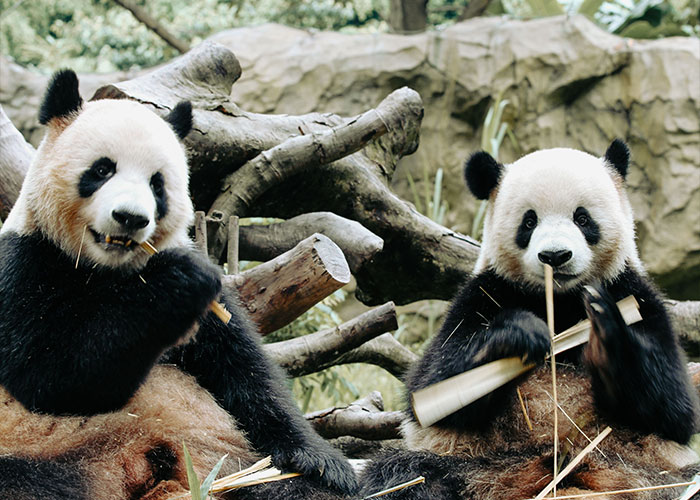 75 Facts That Are Far From Helpful And Nice 75 Facts That Are Far From Helpful And Nice