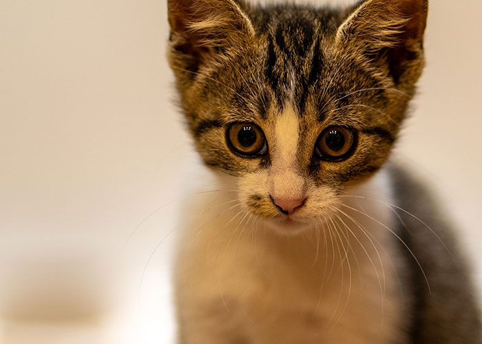 75 Facts That Are Far From Helpful And Nice 75 Facts That Are Far From Helpful And Nice