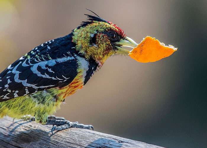75 Facts That Are Far From Helpful And Nice 75 Facts That Are Far From Helpful And Nice