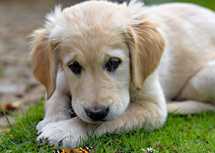 75 Facts That Are Far From Helpful And Nice 75 Facts That Are Far From Helpful And Nice