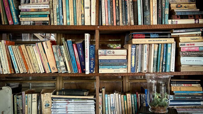 &ldquo;What Came First: &lsquo;Frankenstein&rsquo; Or &lsquo;Dracula&rsquo;?&rdquo;: 20 Surprisingly Tough Literature Questions