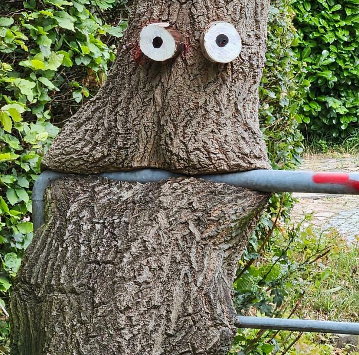 77 Unsettling Yet Fascinating Pictures Of Trees Eating Things People Left Behind