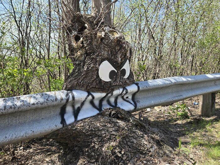 77 Unsettling Yet Fascinating Pictures Of Trees Eating Things People Left Behind