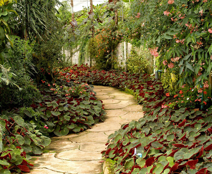 “Karen” Gets A Taste Of Her Own Medicine As People Rally Behind Landscaper Who Got His Revenge