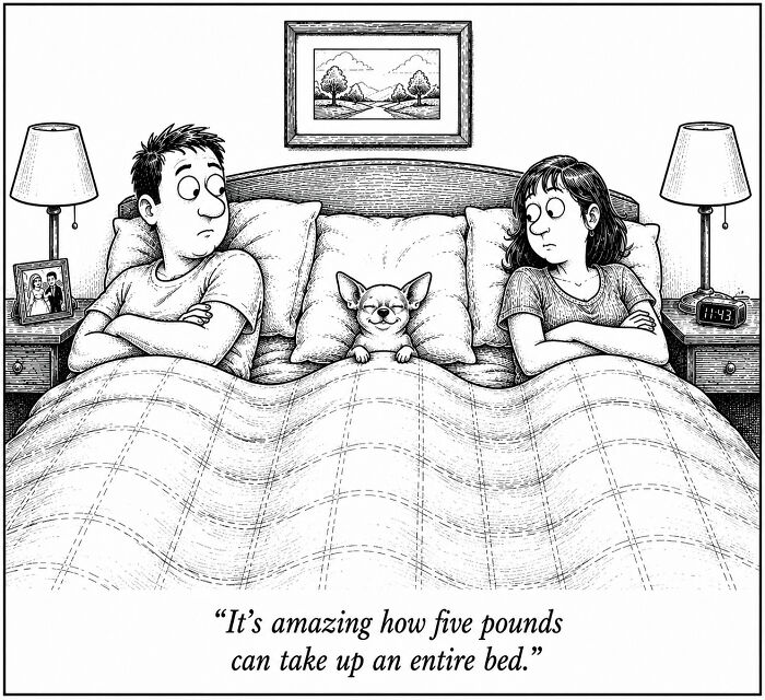 I Turned Everyday Moments Into 22 Funny Comics From A Dog’s Perspective I Turned Everyday Moments Into 22 Funny Comics From A Dog’s Perspective