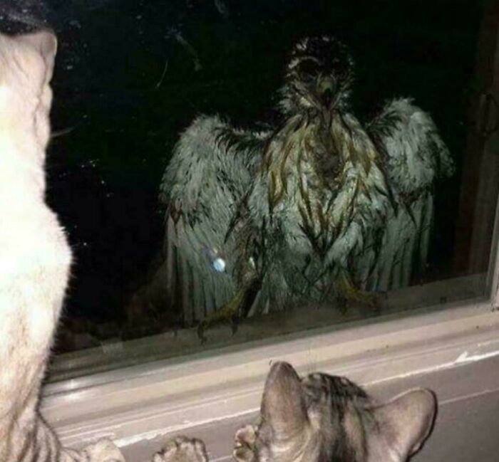 73 Creepy And Confusing Images That Need A Priest 73 Creepy And Confusing Images That Need A Priest