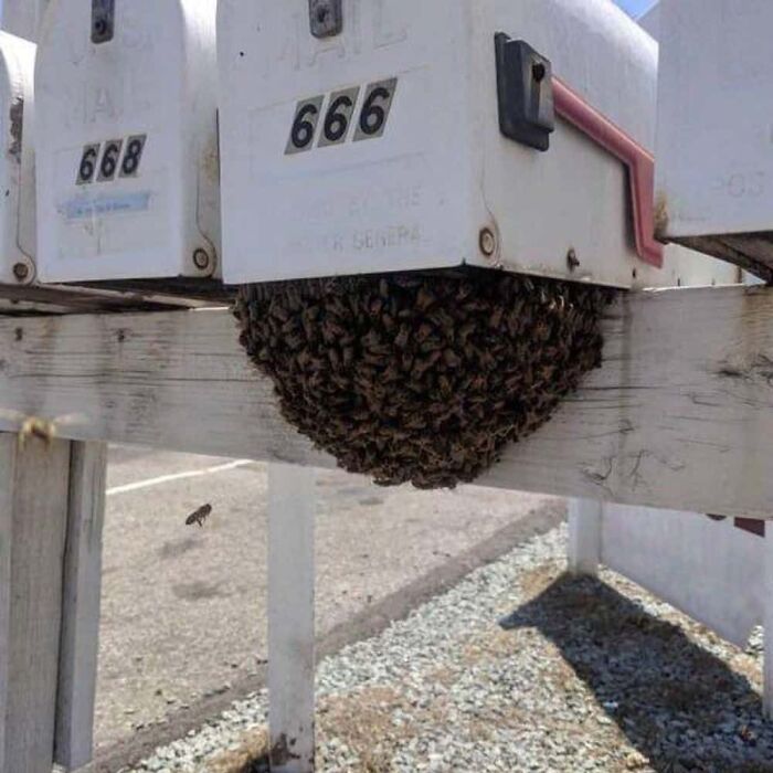 73 Creepy And Confusing Images That Need A Priest 73 Creepy And Confusing Images That Need A Priest