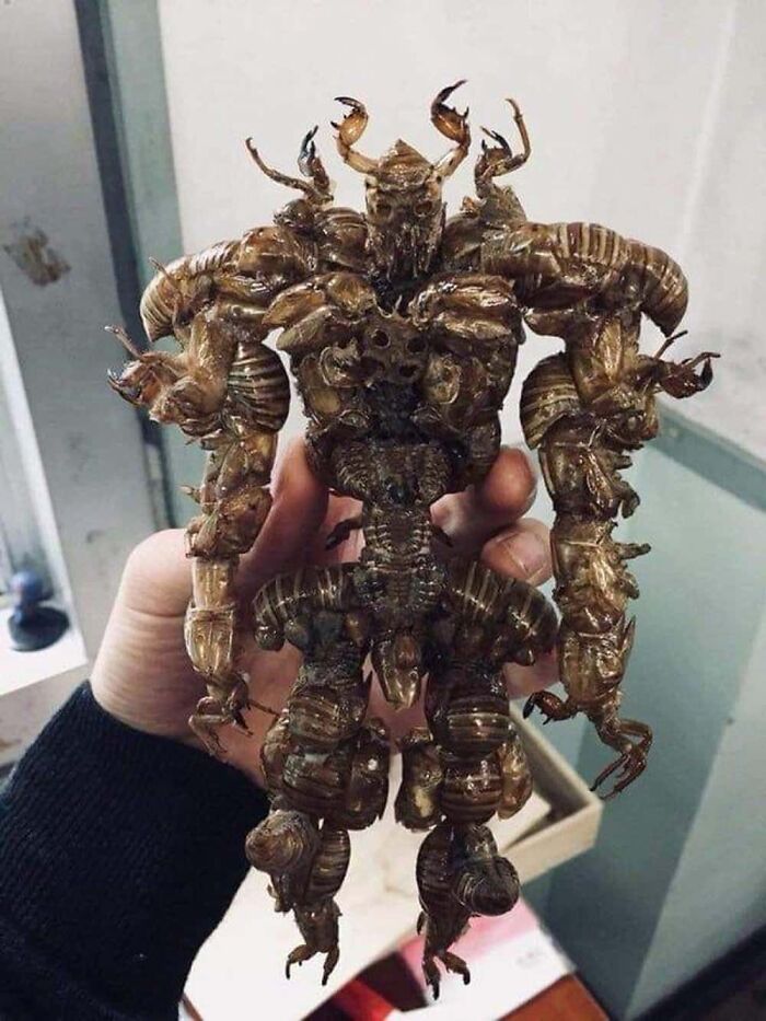 73 Creepy And Confusing Images That Need A Priest 73 Creepy And Confusing Images That Need A Priest