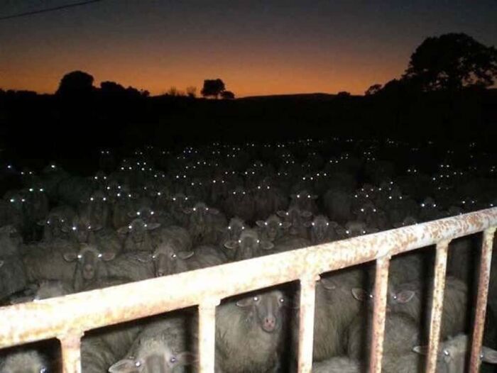 73 Creepy And Confusing Images That Need A Priest 73 Creepy And Confusing Images That Need A Priest