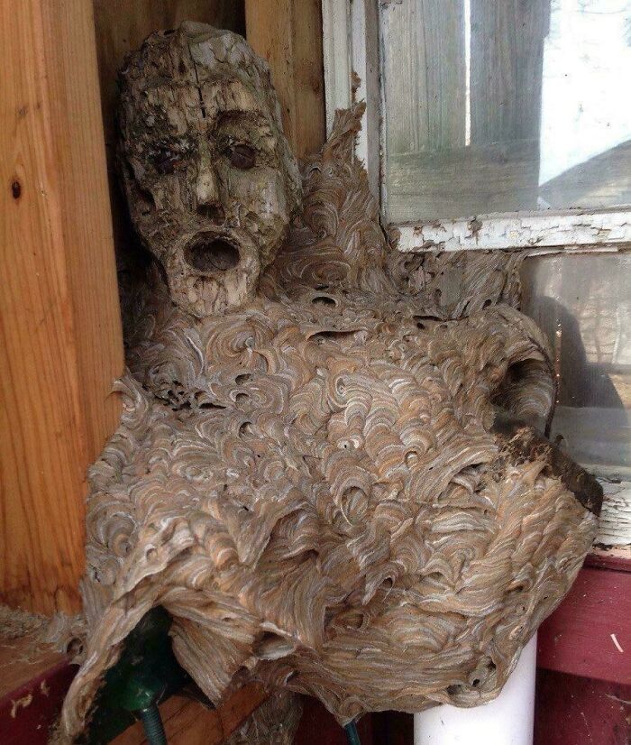 73 Creepy And Confusing Images That Need A Priest 73 Creepy And Confusing Images That Need A Priest