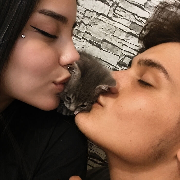 33 Hilarious Cat Moments Caught On Camera, As Shared By “Important Animal Images” (New Pics) 33 Hilarious Cat Moments Caught On Camera, As Shared By “Important Animal Images” (New Pics)