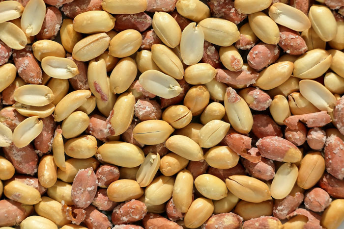 Woman Accidentally Serves Allergic SIL Peanuts, Husband’s Violent Reaction Shocks Everyone Woman Accidentally Serves Allergic SIL Peanuts, Husband’s Violent Reaction Shocks Everyone