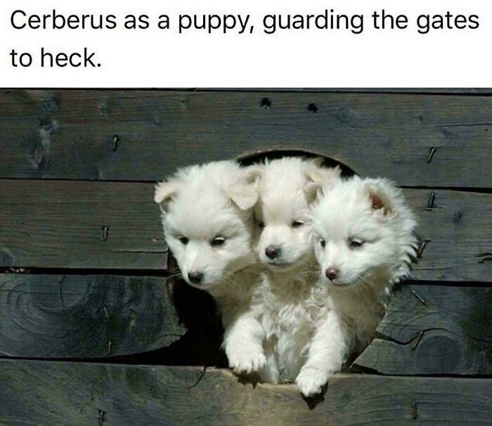 52 Top-Tier Mythology Memes To Siren Song You Away From Your Actual Daily Work Responsibilities