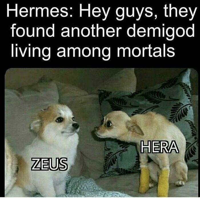 52 Top-Tier Mythology Memes To Siren Song You Away From Your Actual Daily Work Responsibilities
