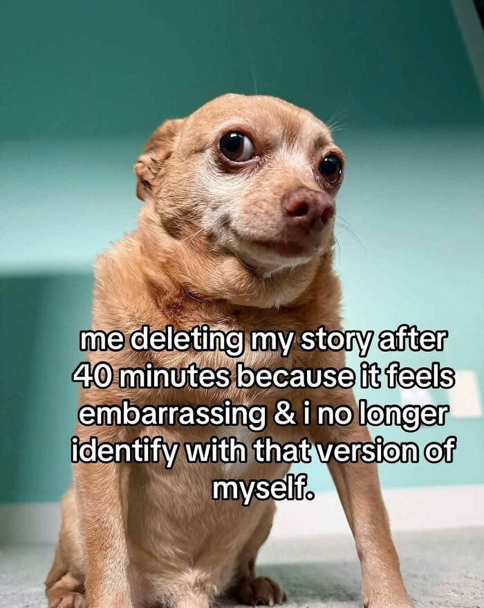 93 Funny Posts About What Being A Woman Is Really Like 93 Funny Posts About What Being A Woman Is Really Like