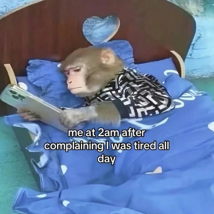 93 Funny Posts About What Being A Woman Is Really Like 93 Funny Posts About What Being A Woman Is Really Like