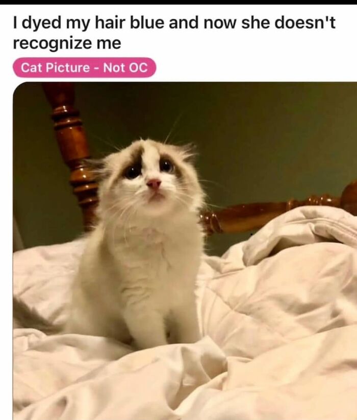 93 Funny Posts About What Being A Woman Is Really Like 93 Funny Posts About What Being A Woman Is Really Like