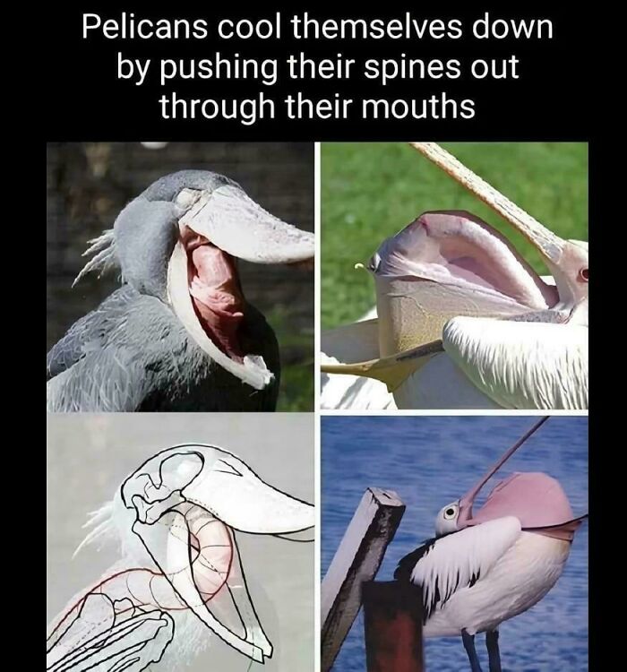 45 Posts That Are A Mix Of Intelligentsia, Blatant Foolishness And Geek Things (New Pics) 45 Posts That Are A Mix Of Intelligentsia, Blatant Foolishness And Geek Things (New Pics)