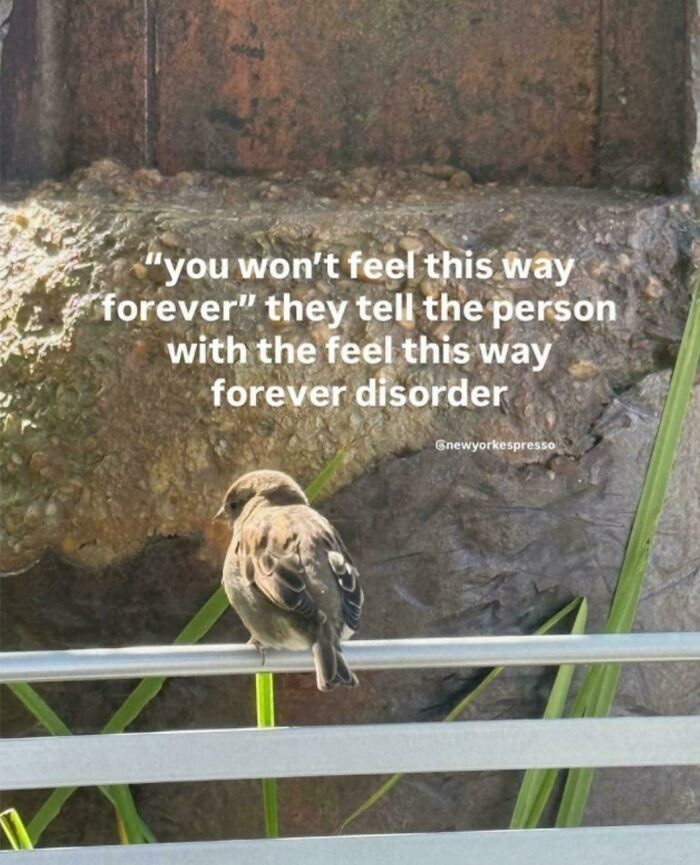 “Thanks, I’m Cured”: 67 Of The Worst Pieces Of Advice No One Asked For (New Pics) “Thanks, I’m Cured”: 67 Of The Worst Pieces Of Advice No One Asked For (New Pics)