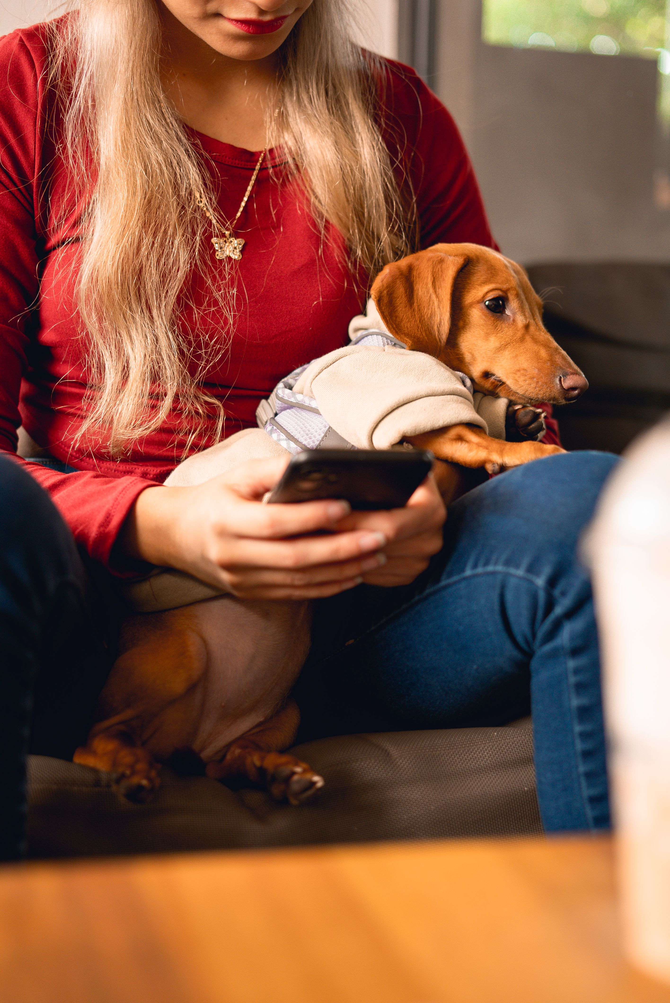 Woman Finds Herself In Every Dog Owner’s Worst Nightmare, But The Neighbor’s Parents Become The Bigger Problem Woman Finds Herself In Every Dog Owner’s Worst Nightmare, But The Neighbor’s Parents Become The Bigger Problem