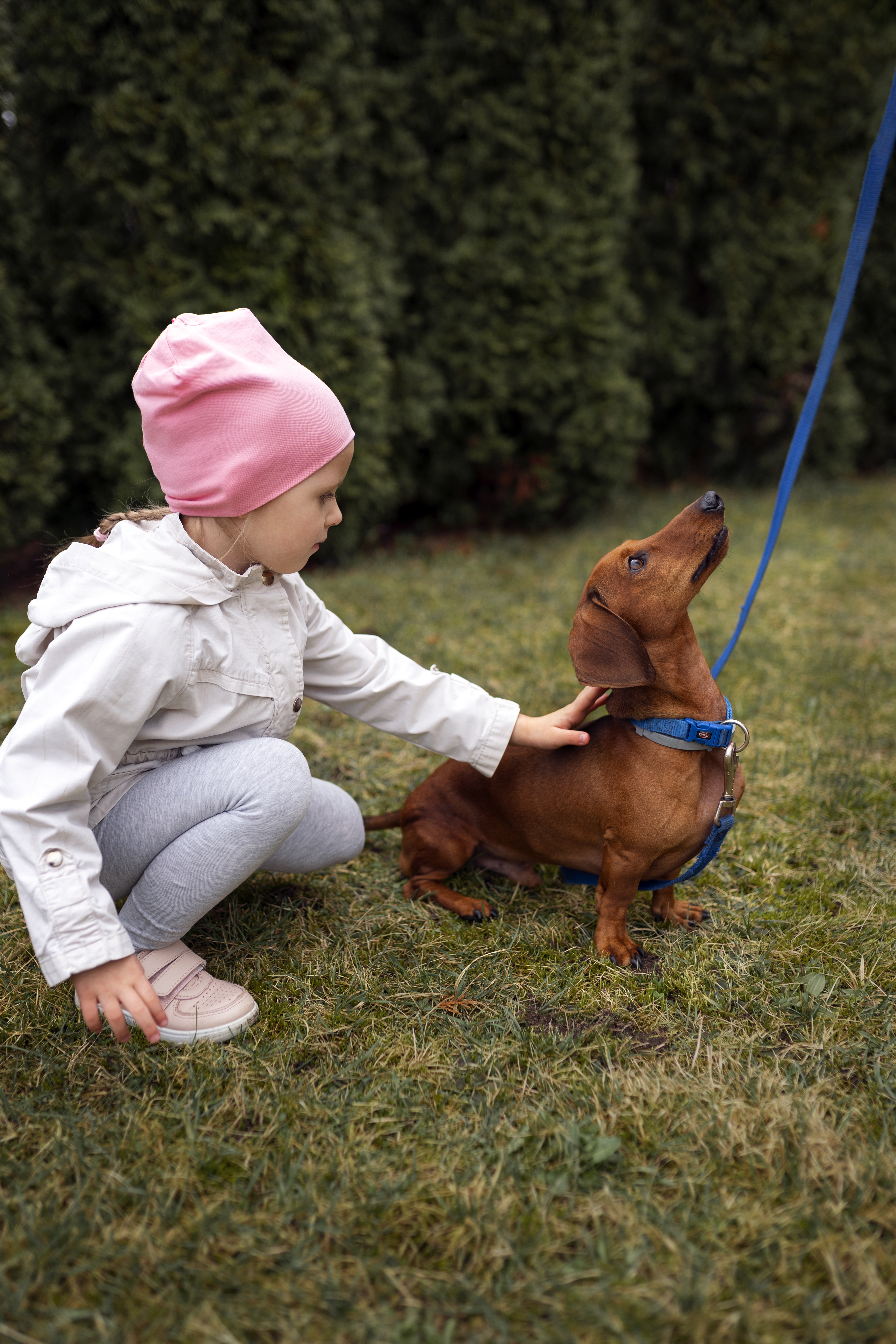 Woman Finds Herself In Every Dog Owner’s Worst Nightmare, But The Neighbor’s Parents Become The Bigger Problem Woman Finds Herself In Every Dog Owner’s Worst Nightmare, But The Neighbor’s Parents Become The Bigger Problem