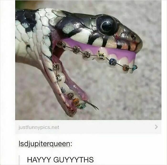 67 Nerdy And Relatable Memes To Scroll Through For Good Vibes 67 Nerdy And Relatable Memes To Scroll Through For Good Vibes