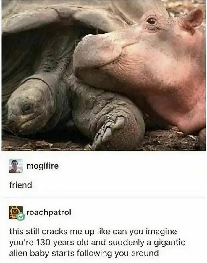 67 Nerdy And Relatable Memes To Scroll Through For Good Vibes 67 Nerdy And Relatable Memes To Scroll Through For Good Vibes