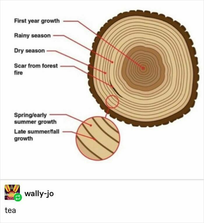 67 Nerdy And Relatable Memes To Scroll Through For Good Vibes 67 Nerdy And Relatable Memes To Scroll Through For Good Vibes