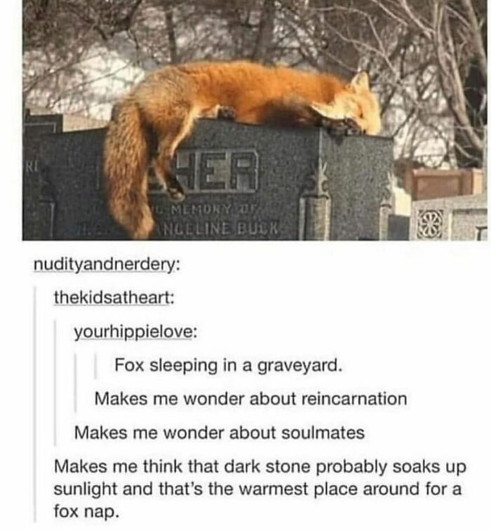 67 Nerdy And Relatable Memes To Scroll Through For Good Vibes 67 Nerdy And Relatable Memes To Scroll Through For Good Vibes