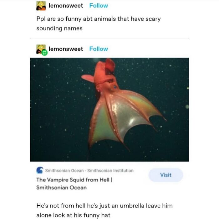 67 Nerdy And Relatable Memes To Scroll Through For Good Vibes 67 Nerdy And Relatable Memes To Scroll Through For Good Vibes