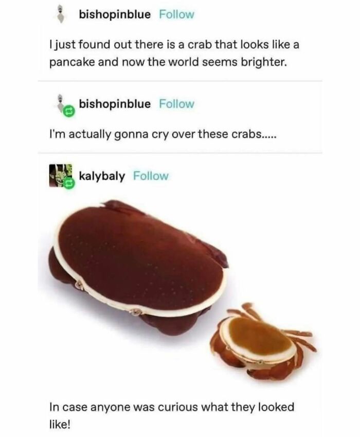67 Nerdy And Relatable Memes To Scroll Through For Good Vibes 67 Nerdy And Relatable Memes To Scroll Through For Good Vibes